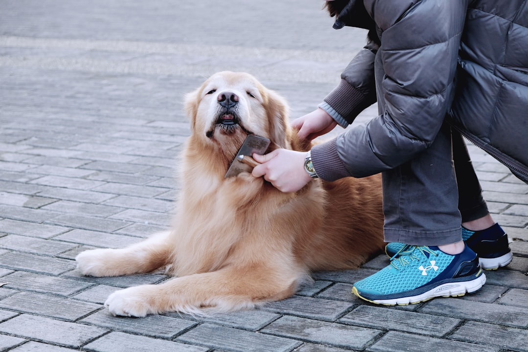 De-Shedding Treatment