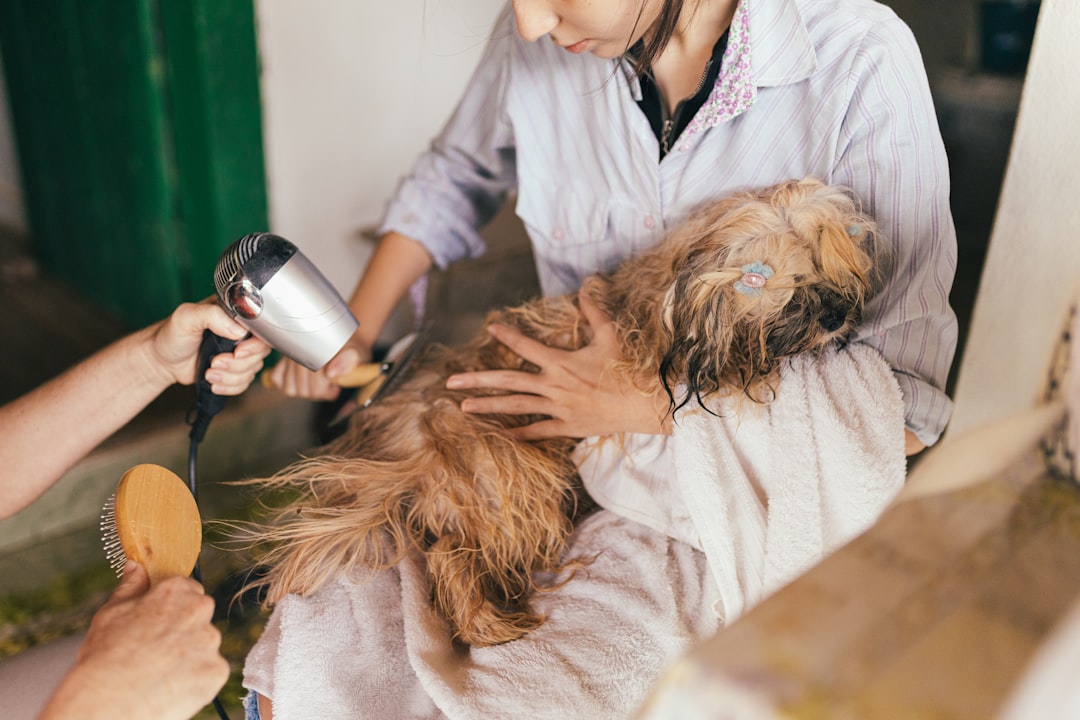 Nail Care & Paw Maintenance